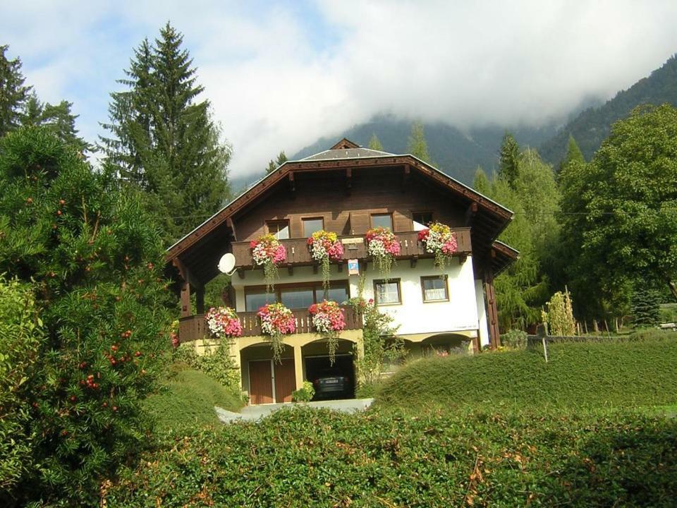 Haus Weber Pressegger See 黑马戈尔 外观 照片
